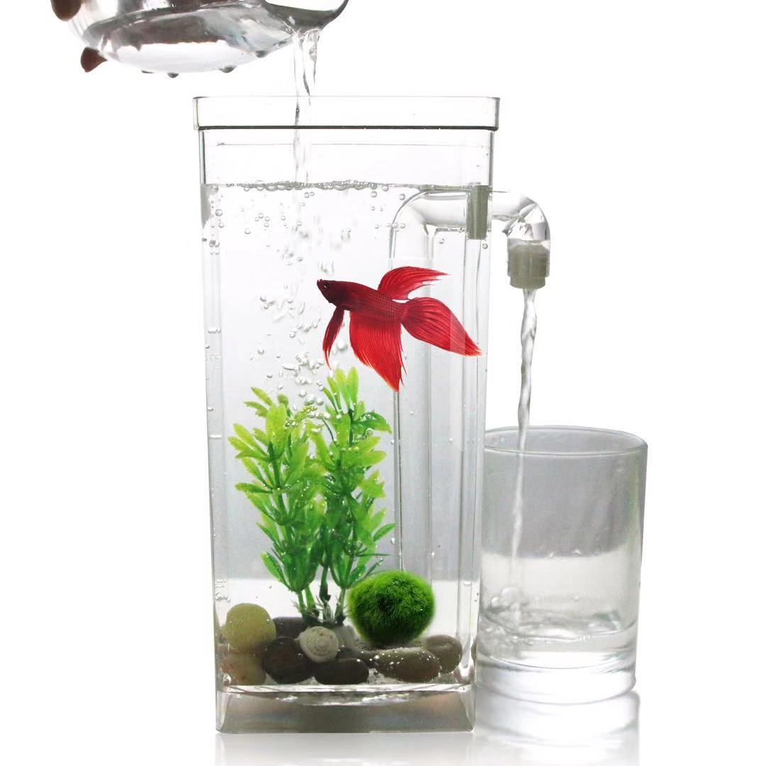 Aquarium Fish Betta - Giày Lười Nước Tự Do Thay