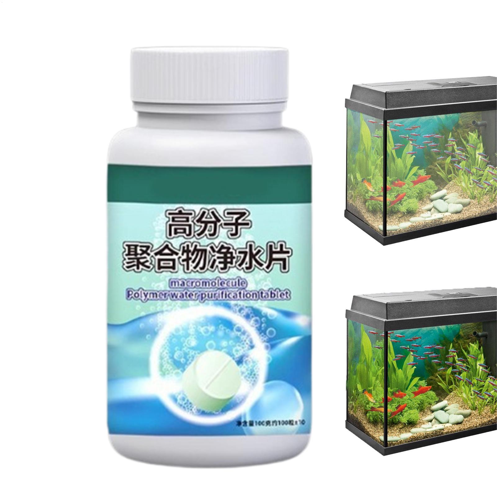 Fish Can Algae Remover Aquariu - đánh giá và giá Aquarium Fish Betta