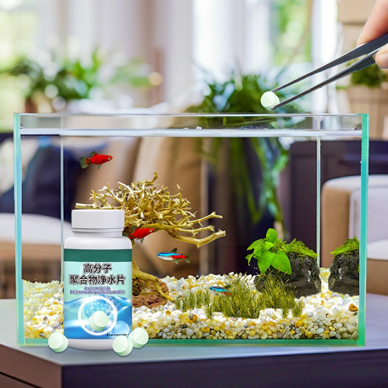 Fish Can Algae Remover Aquariu - đánh giá và giá Aquarium Fish Betta