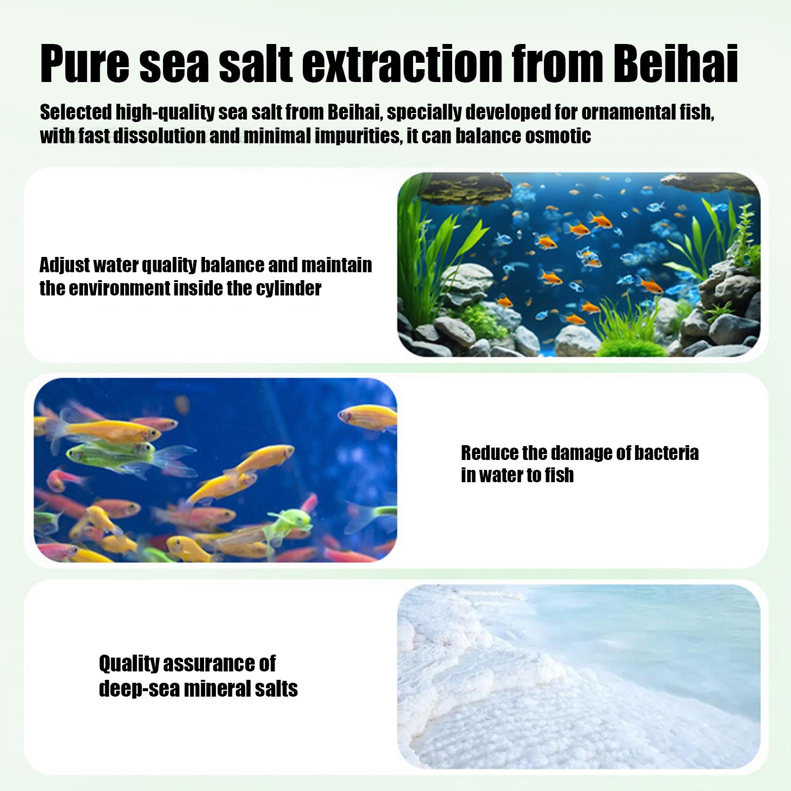 Fish Can Algae Remover Aquariu - đánh giá và giá Aquarium Fish Betta