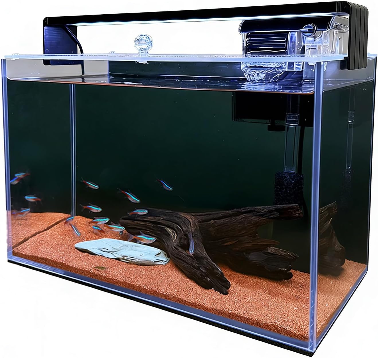 3.2 Gallon Nano Nature Aquariu - đánh giá và giá Betta Fish Tank