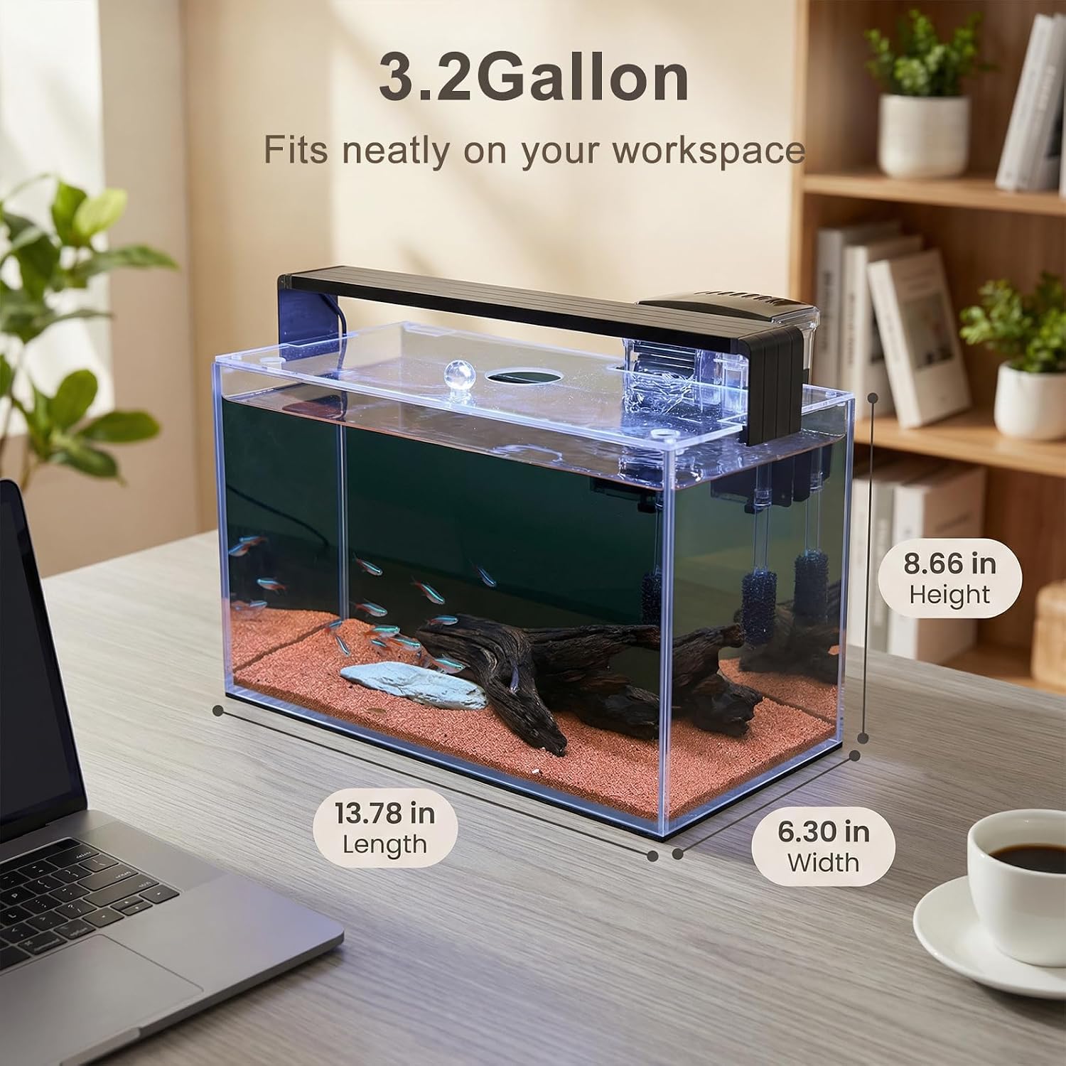 3.2 Gallon Nano Nature Aquariu - đánh giá và giá Betta Fish Tank