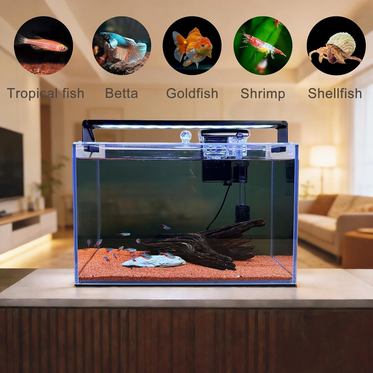 3.2 Gallon Nano Nature Aquariu - đánh giá và giá Betta Fish Tank