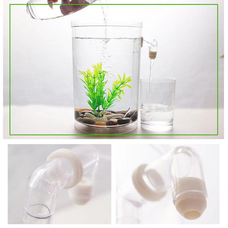 Giày Lười Nước Tự Do Thay Đổi  - đánh giá và giá Aquarium Fish Betta