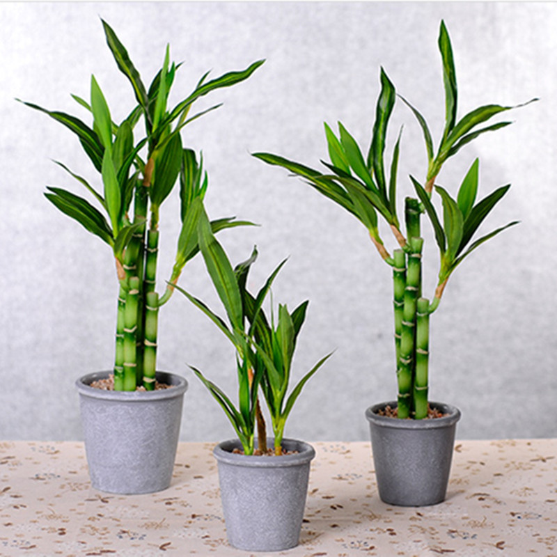 Mới 40Cm RFtificial May Mắn Tr - đánh giá và giá Fish Aquarium Home