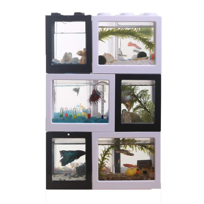 7 Color Mini Aquarium Betta Fi - đánh giá và giá Aquarium Fish Betta