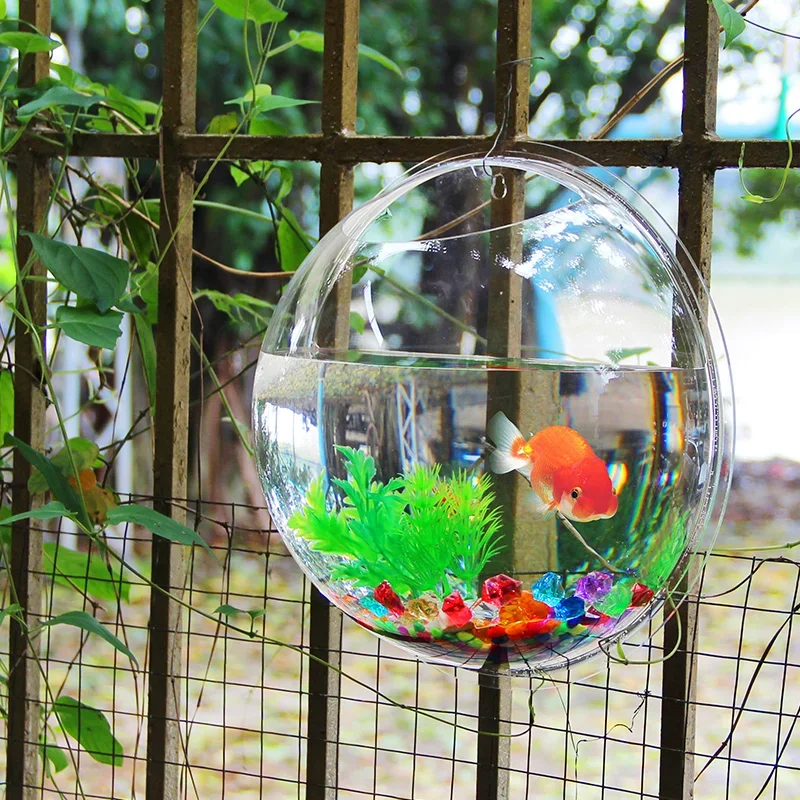 Pinsjar Acrylic Cá Bát Treo Tư - đánh giá và giá Aquarium Fish Betta