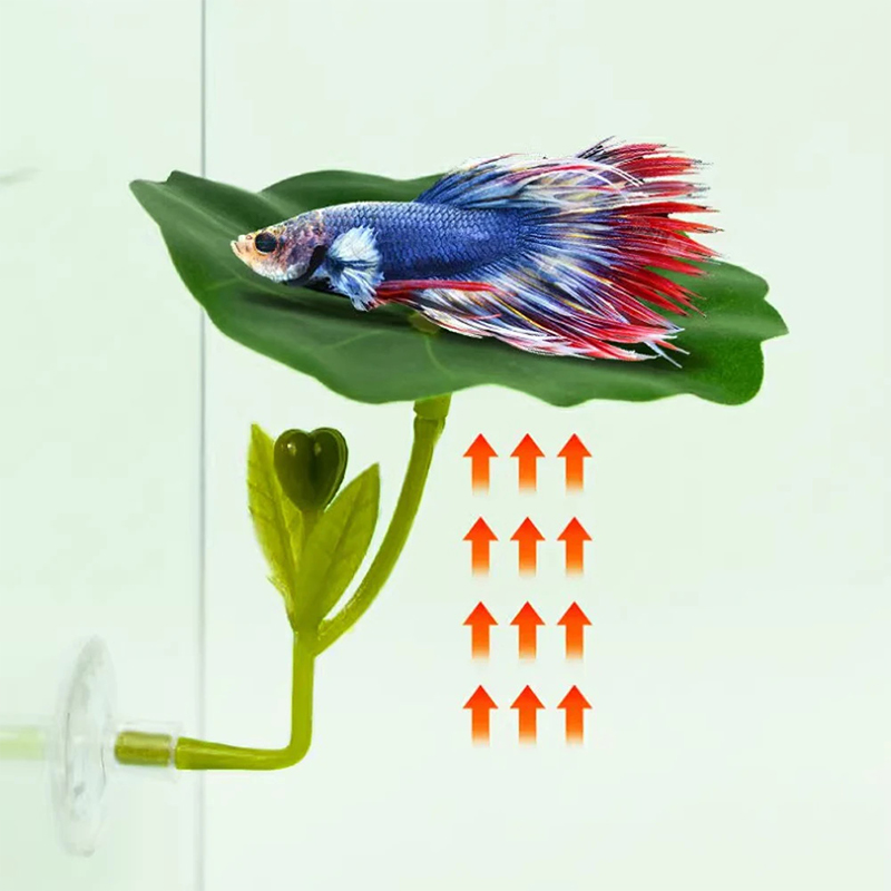 (Ce14)1/5PC Green Leaf Hammock - đánh giá và giá Aquarium Fish Betta