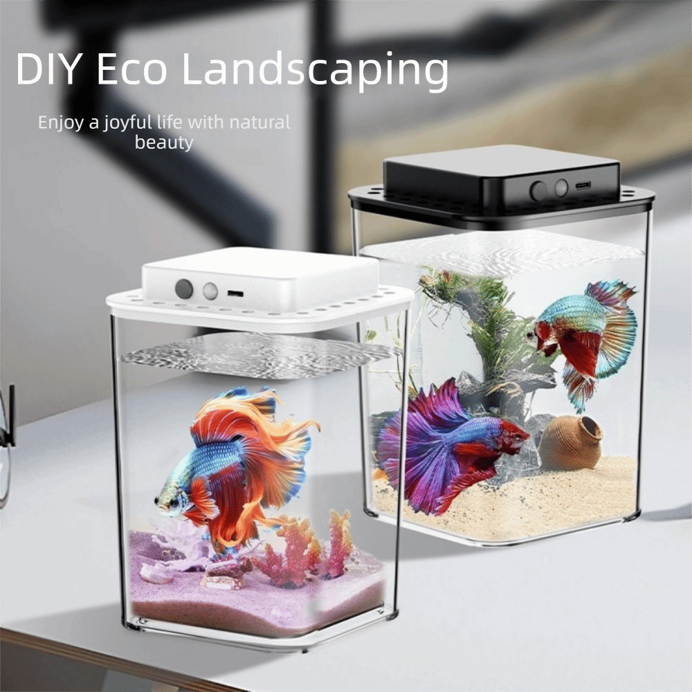 Transparent Betta Fish Tank In - đánh giá và giá Aquarium Fish Betta