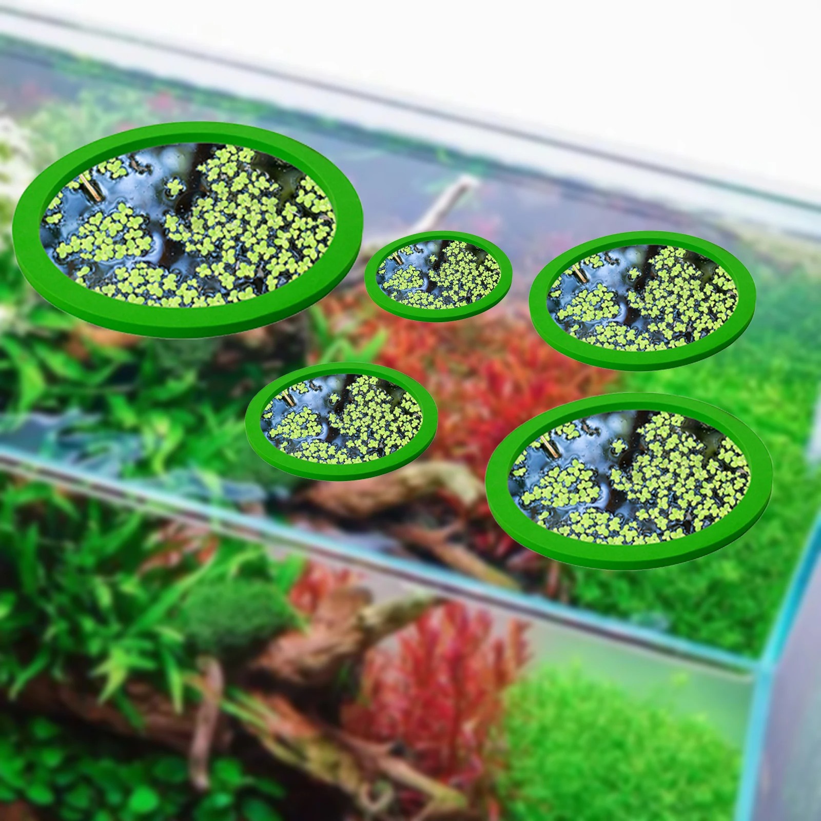 5Pcs EVA Fish Feeding Ring Aqu - đánh giá và giá Aquarium Plants