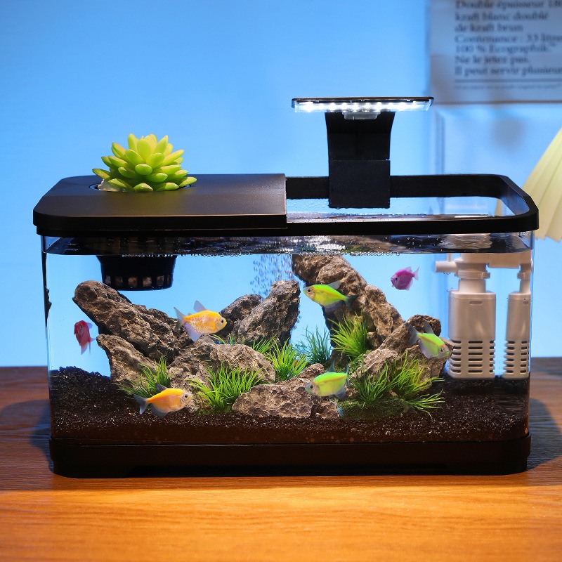Desktop fish tank circulating  - đánh giá và giá Fish Aquarium Home