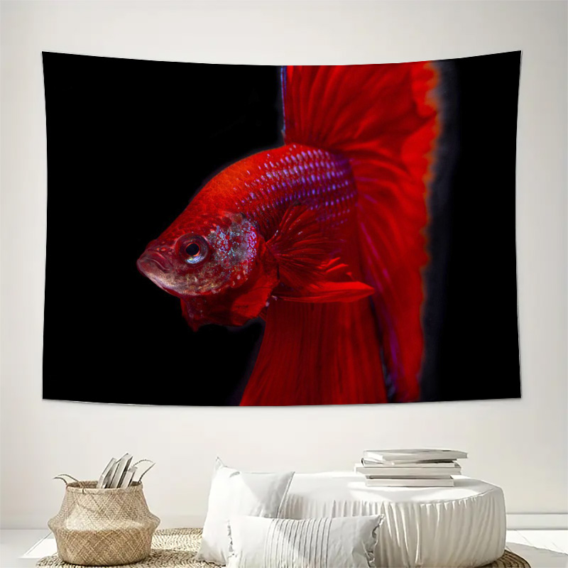 Vibrant Red Betta Fish Tapestr - đánh giá và giá Aquarium Fish Betta